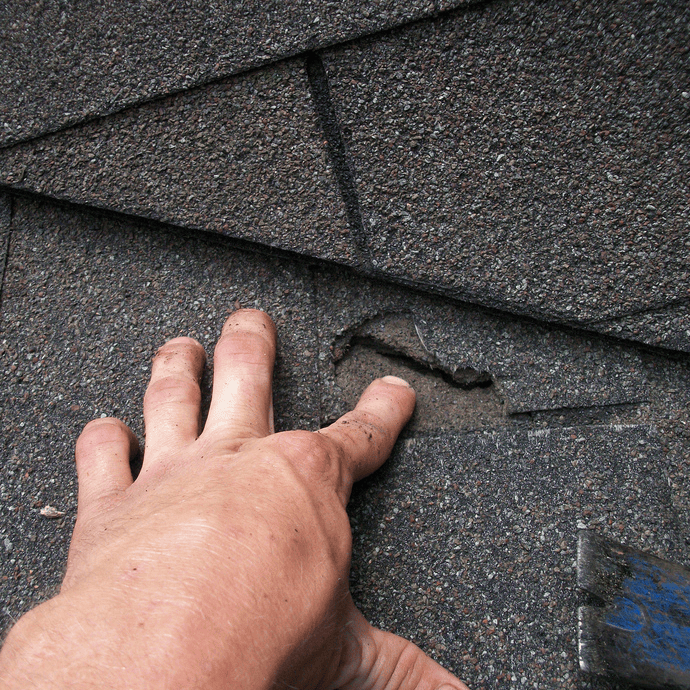 Close-up of roof shingles with damaged area needing repair by Davis Roofing Co Inc.