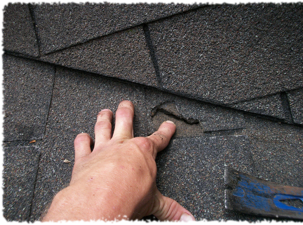 roofing, roofers, roofer, roofing, roof replacement, GAF Master Elite