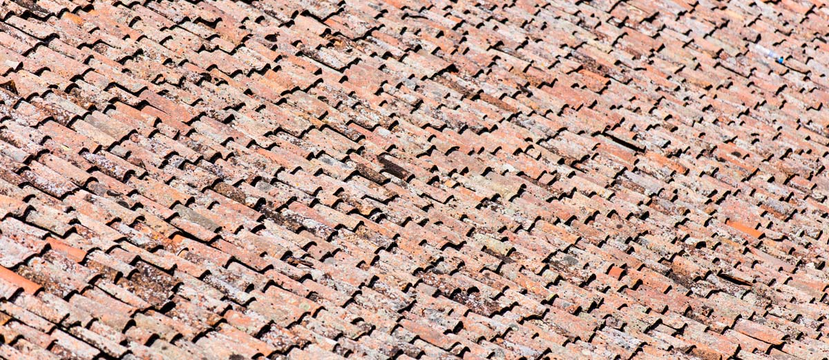 GAF Shingles Archdale